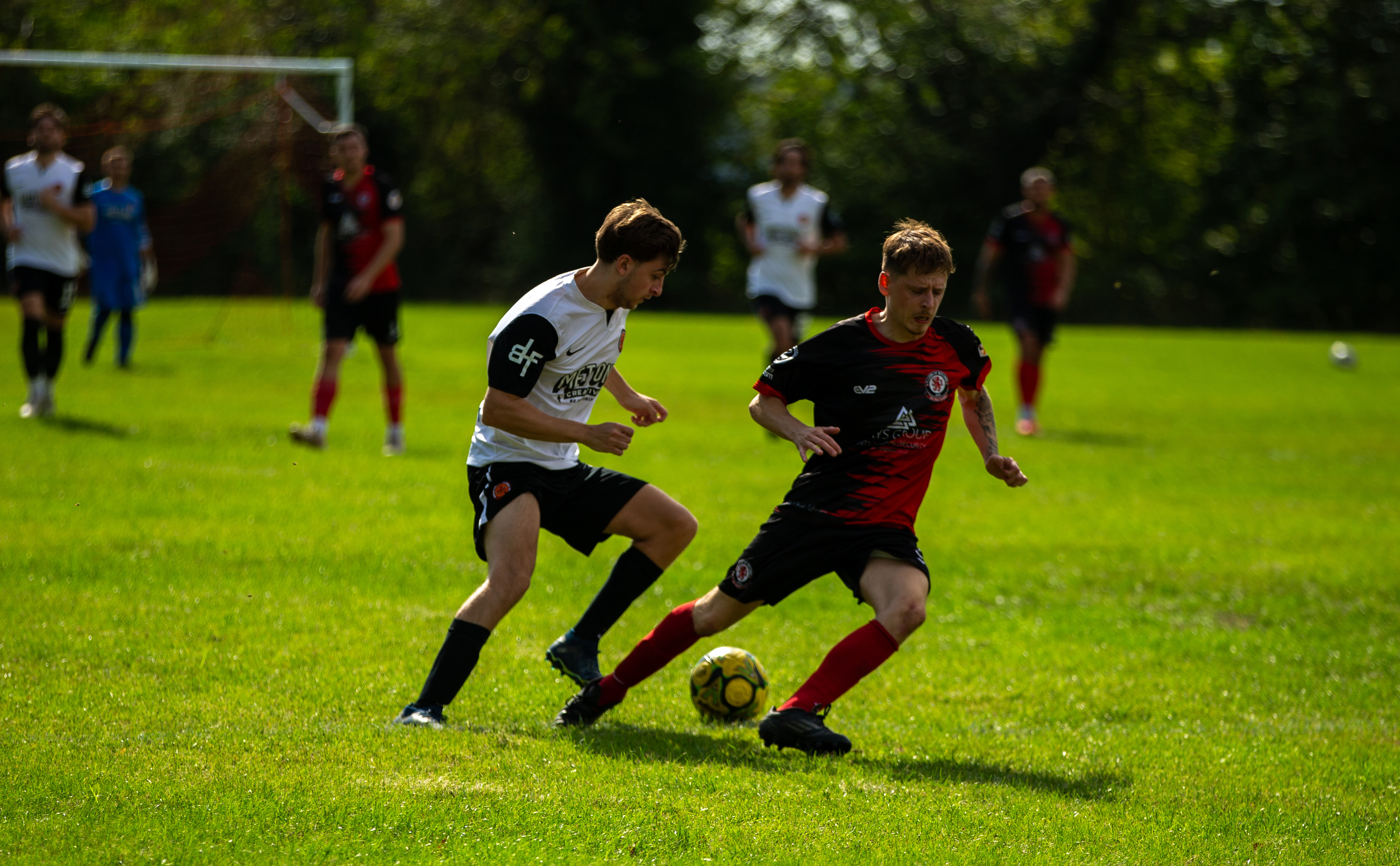 FC Lions vs Denham United — photo 22