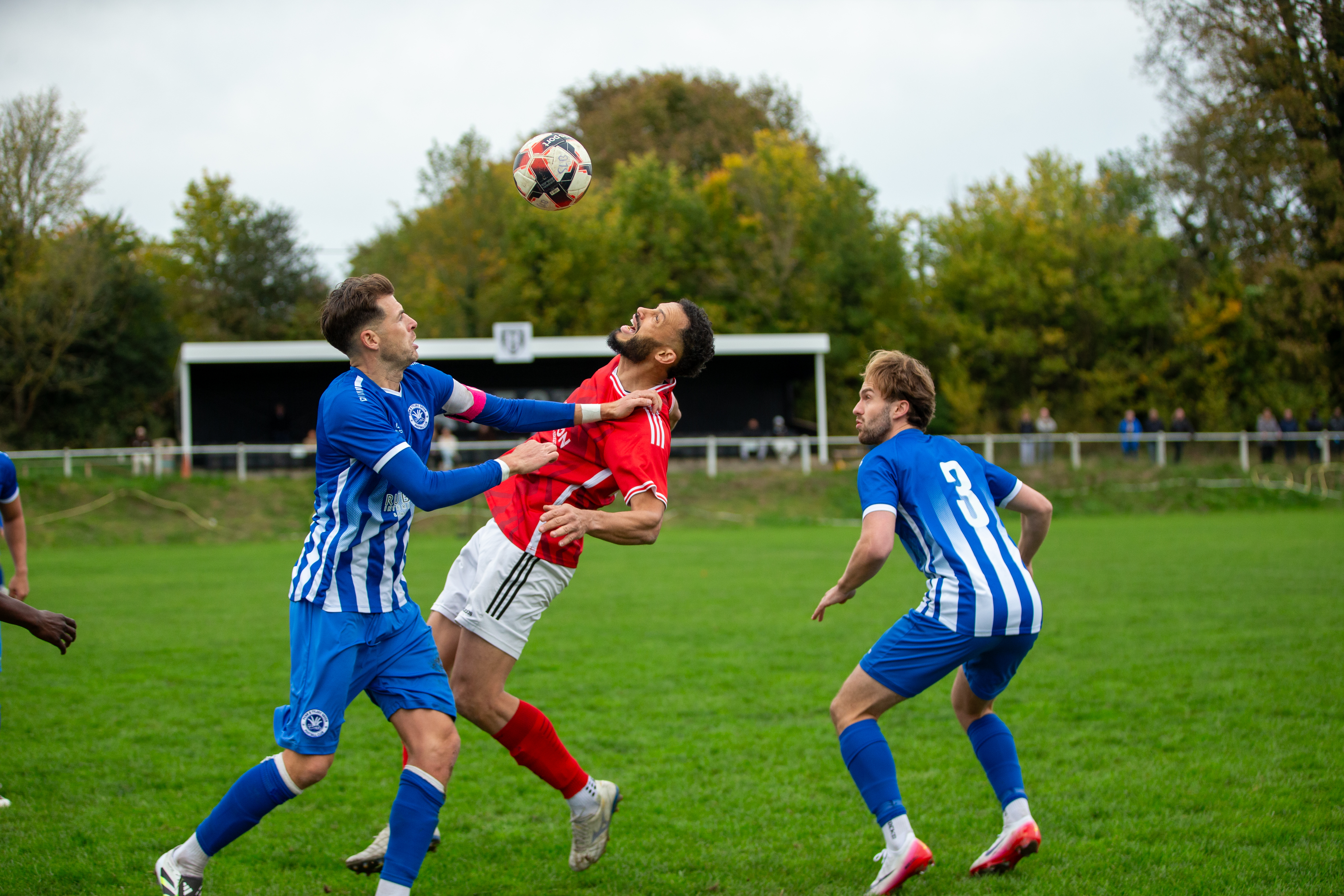 SL Benfica vs Penn & Tylers — photo 22